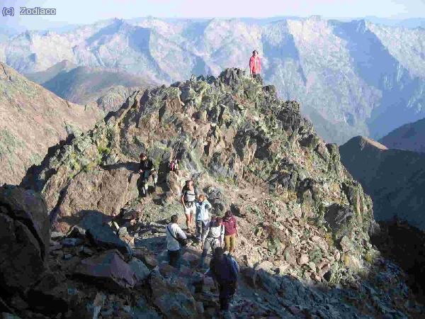 minicollado, nuestro grupo m&aacute;s los nuevos