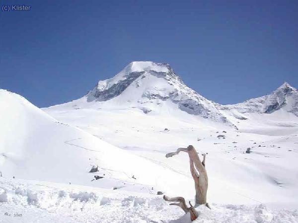 ciarforon des de refugi