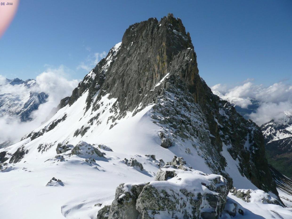El Perdigueret