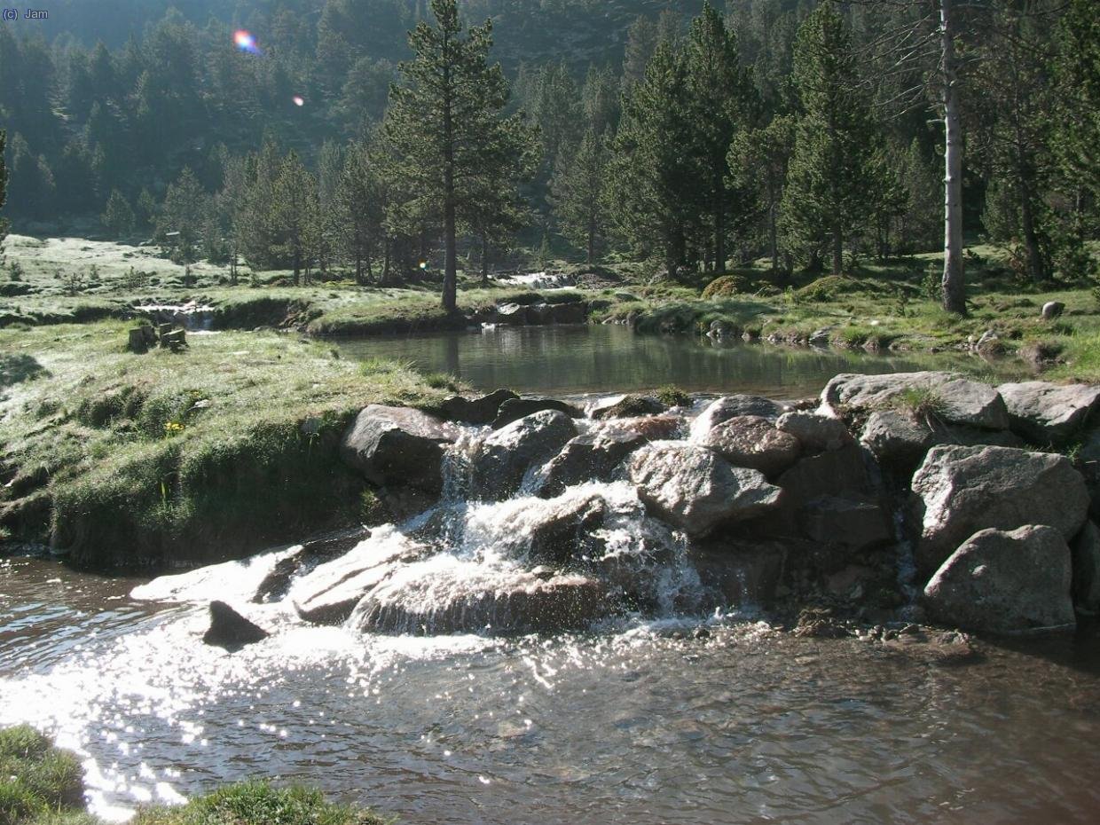 Amb la pluja que ha caigut aquesta primavera tot esta ple d