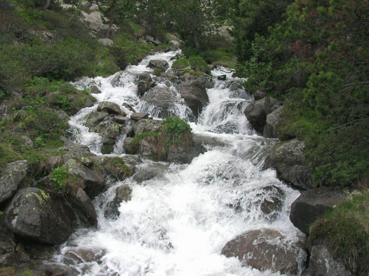 Totes les fonts estan magnifiques.