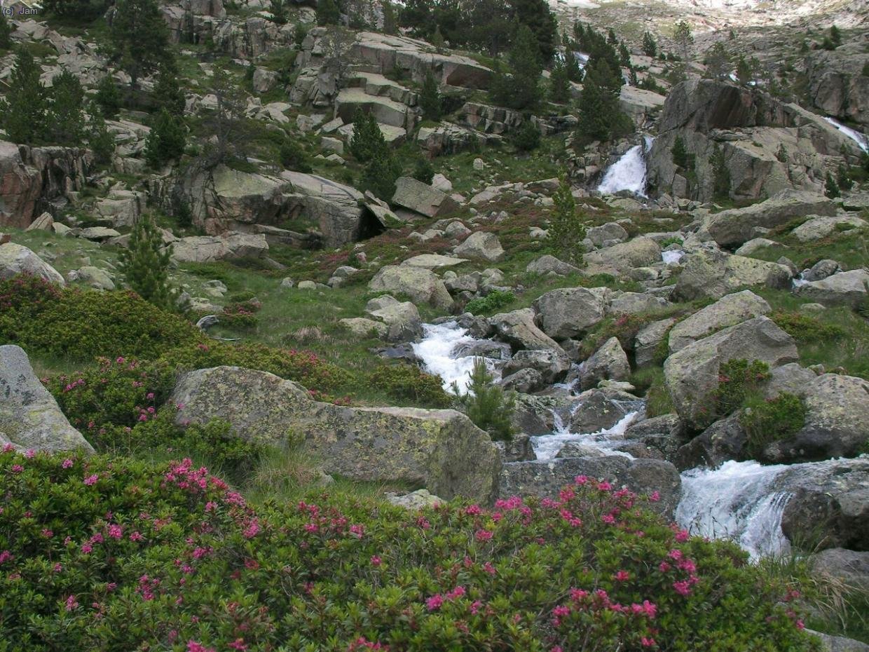 L’aigua baixant pel barranc de Llosars
