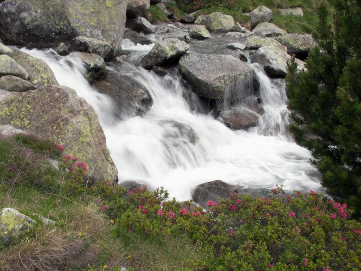 Un altre cop la for&ccedil;a del aigua.


