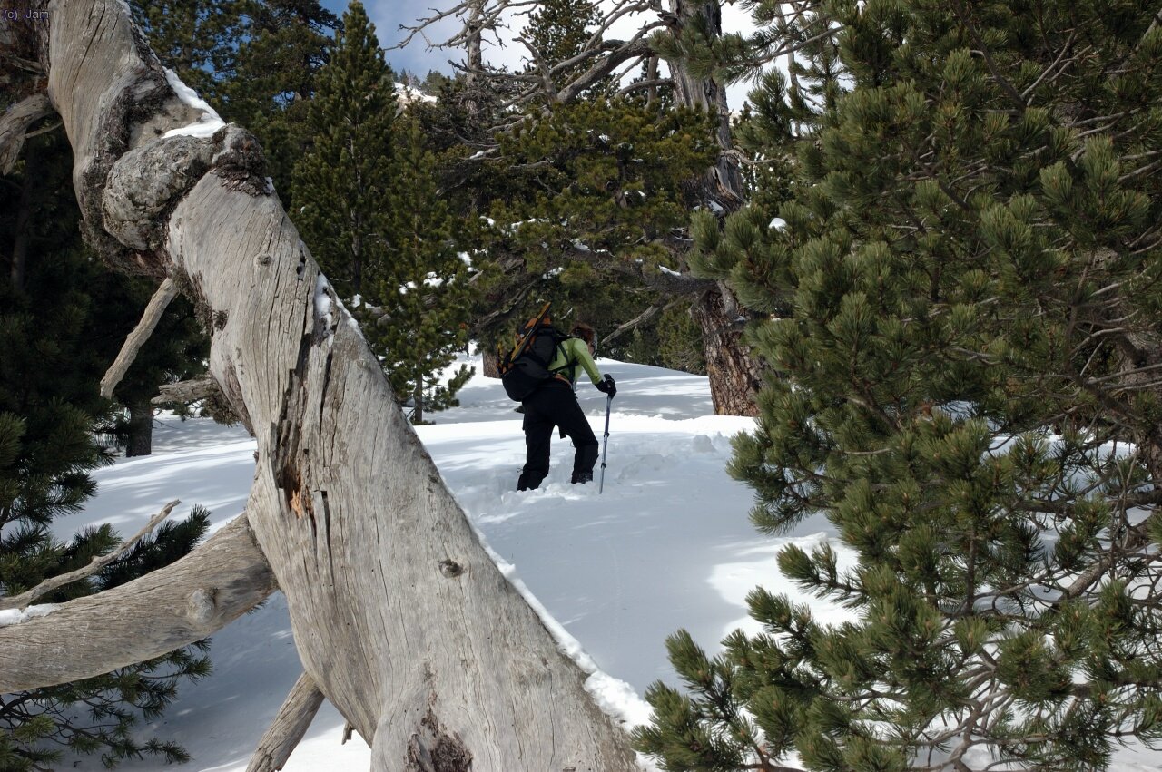 El paisatge esta molt guapo.