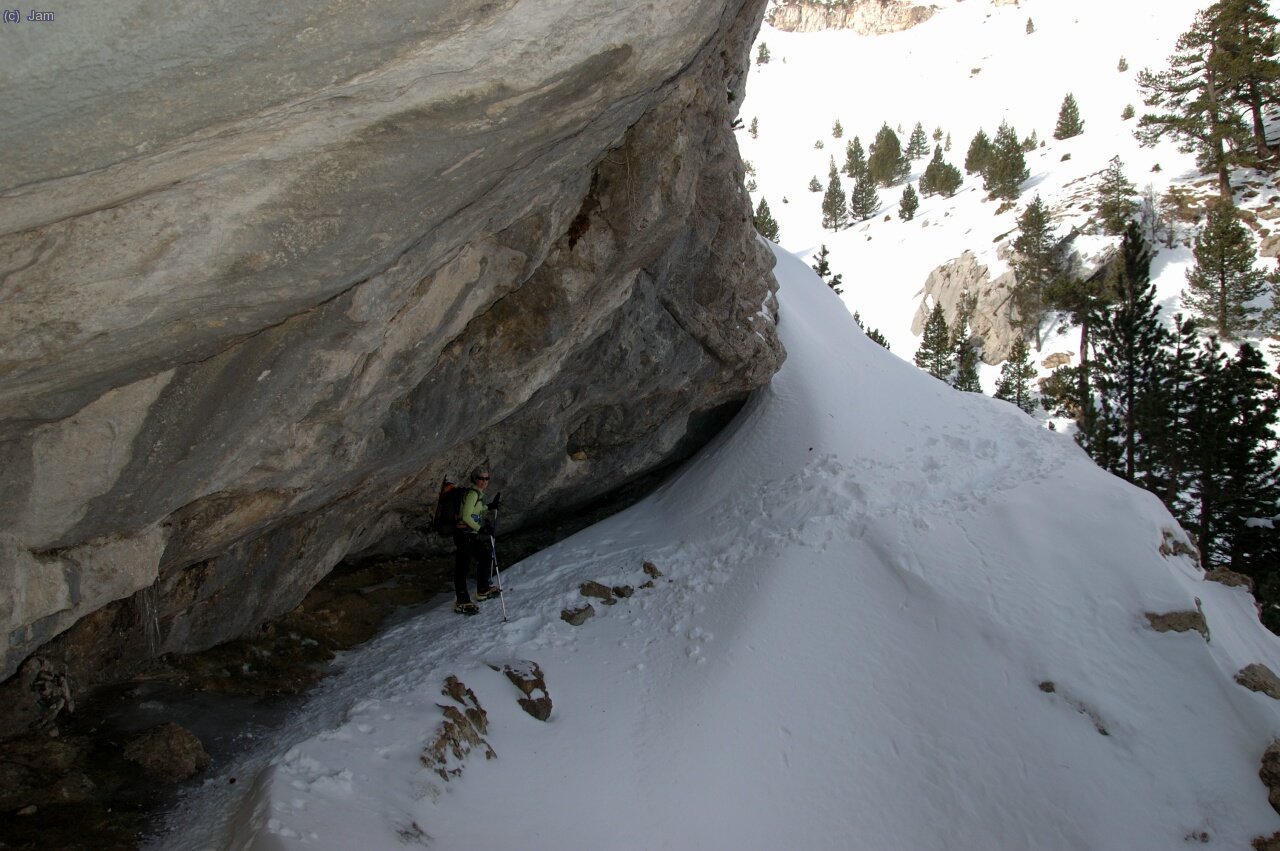 La bauma que trobem avan&ccedil; del Torrent del Pletissar