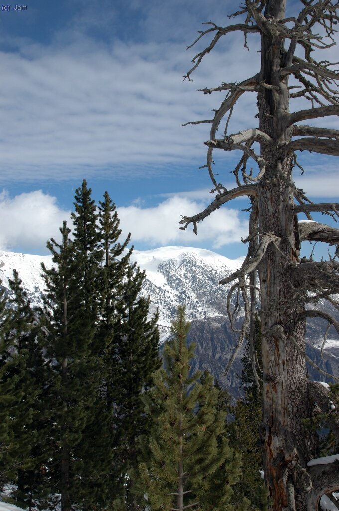 Al fons el Comabona.