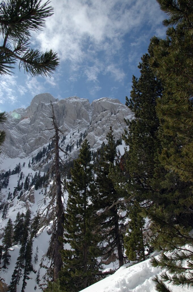 Veiem el nostre objectiu