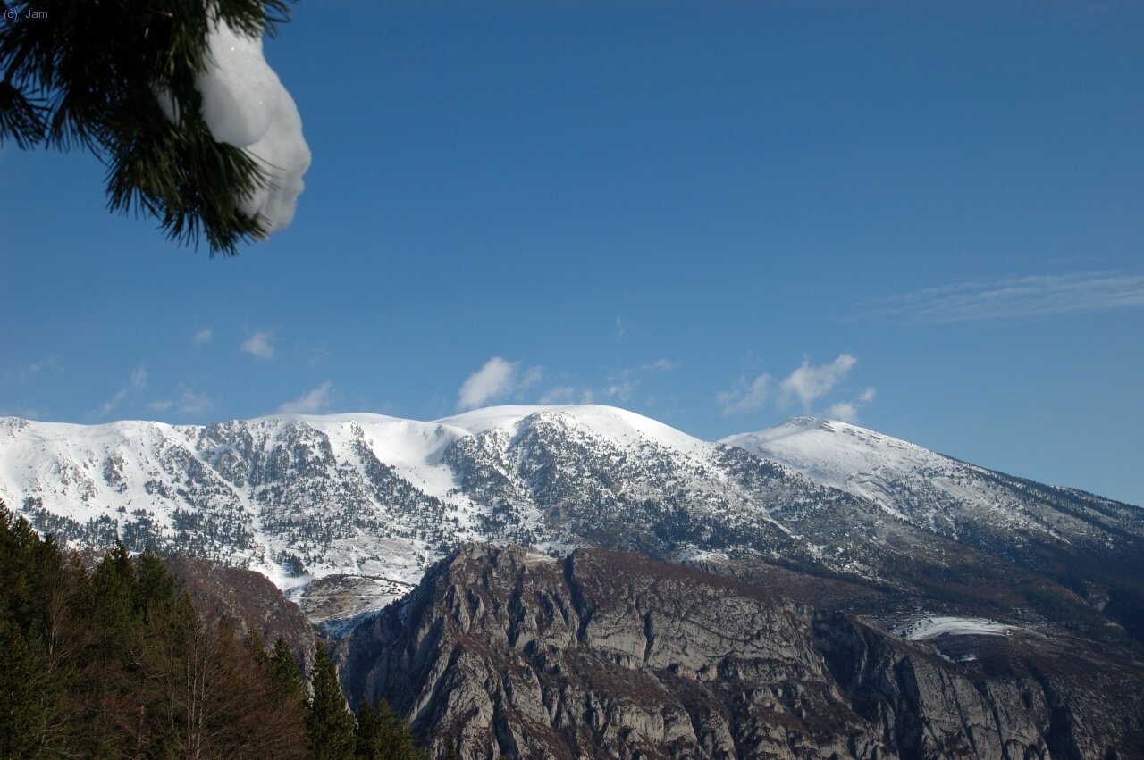 El Comabona i el Terrers