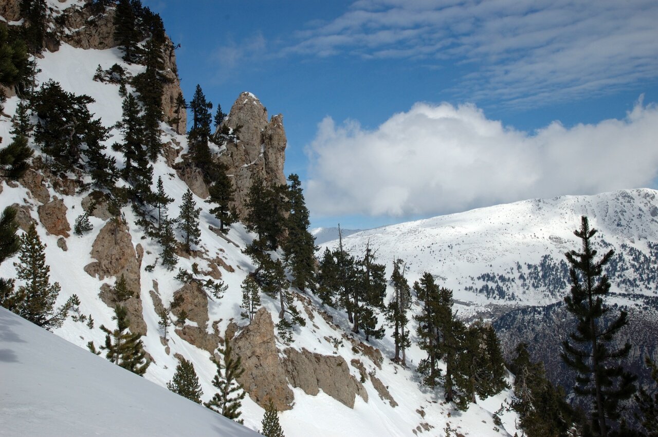 Els n&uacute;vols ja comencen a treure el nas