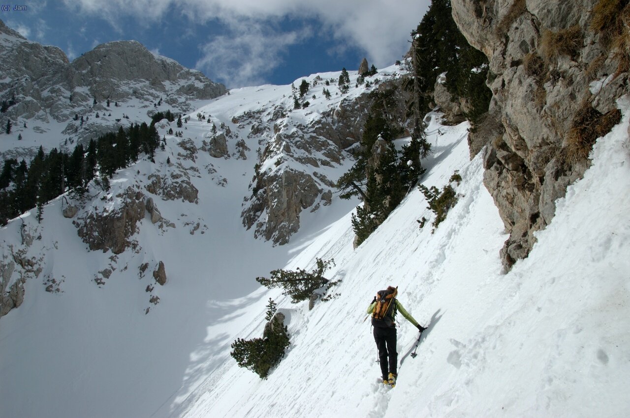 Els primers flanqueixos cap el coll.