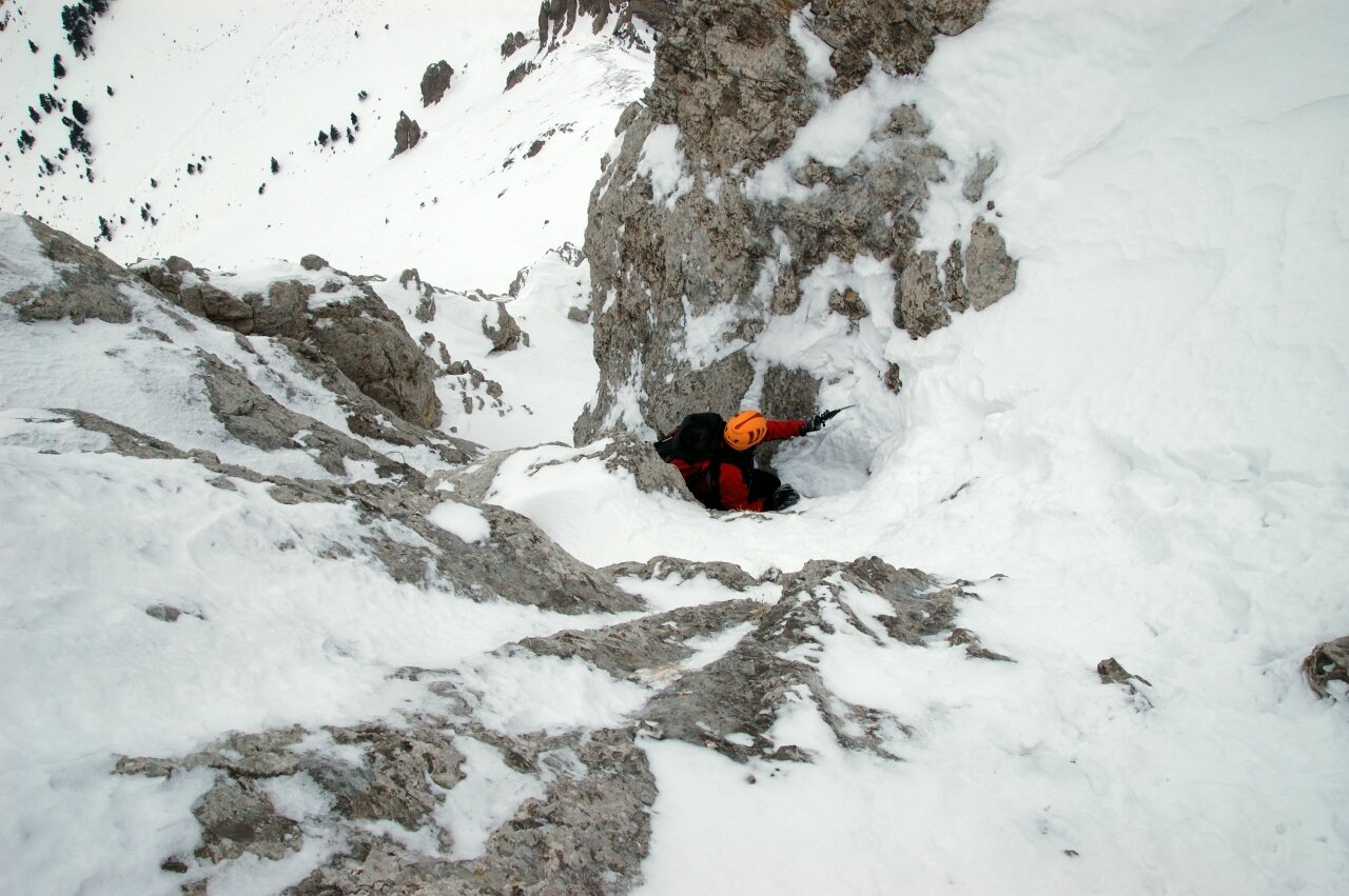 Els companys pel darrera.