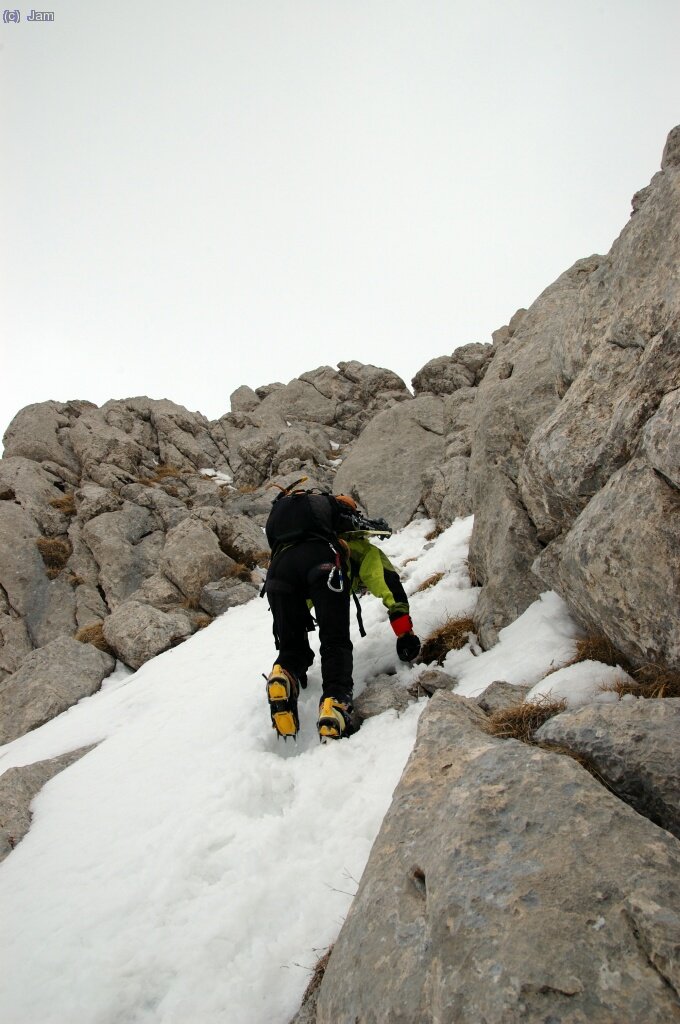 Aix&ograve; es posa dret, millor les dames primer.