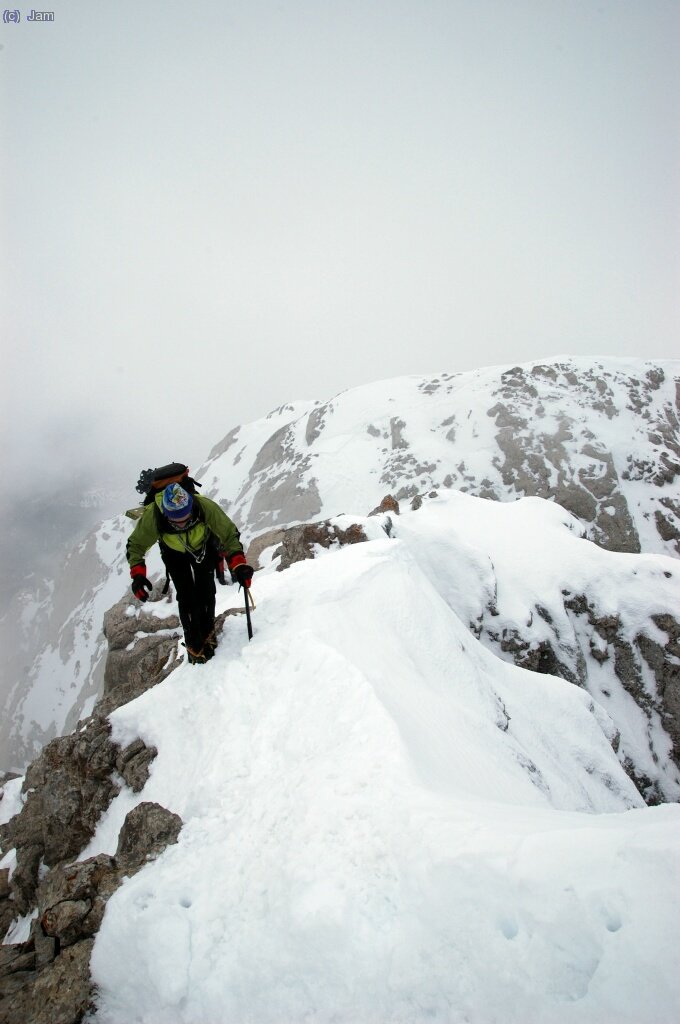 Careneta final i....