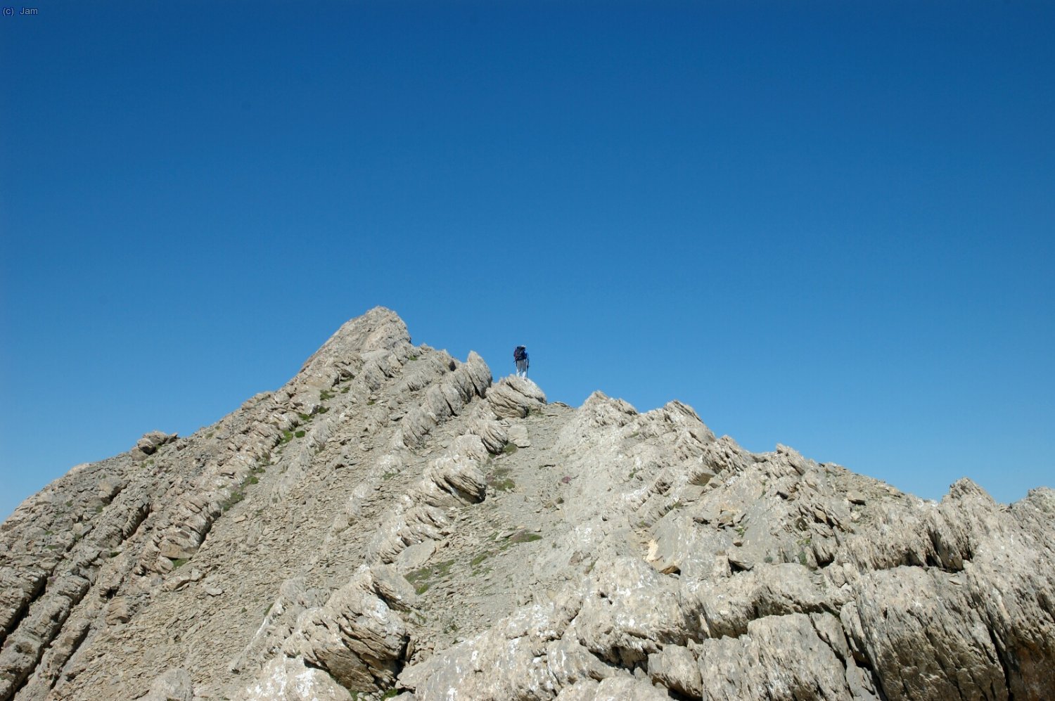 Des de el coll veiem la cresta i el Astazou Occidental