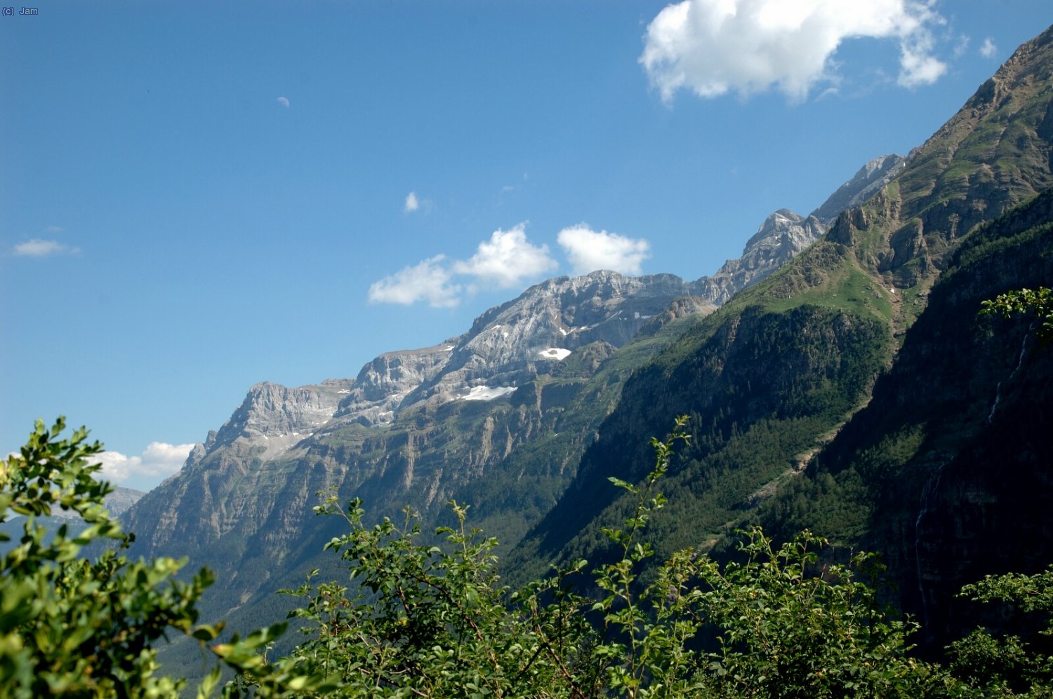 Una gran verdor per tot arreu.