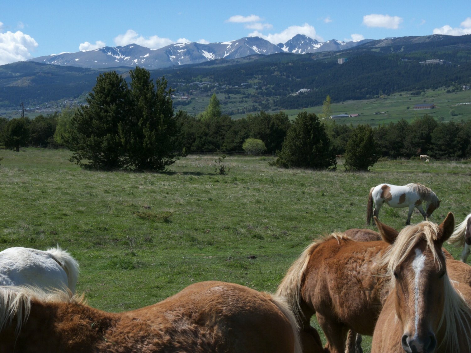 Al altre costat de la Cerdanya tenim el Carlit a ple sol, un final de dia esplendid.