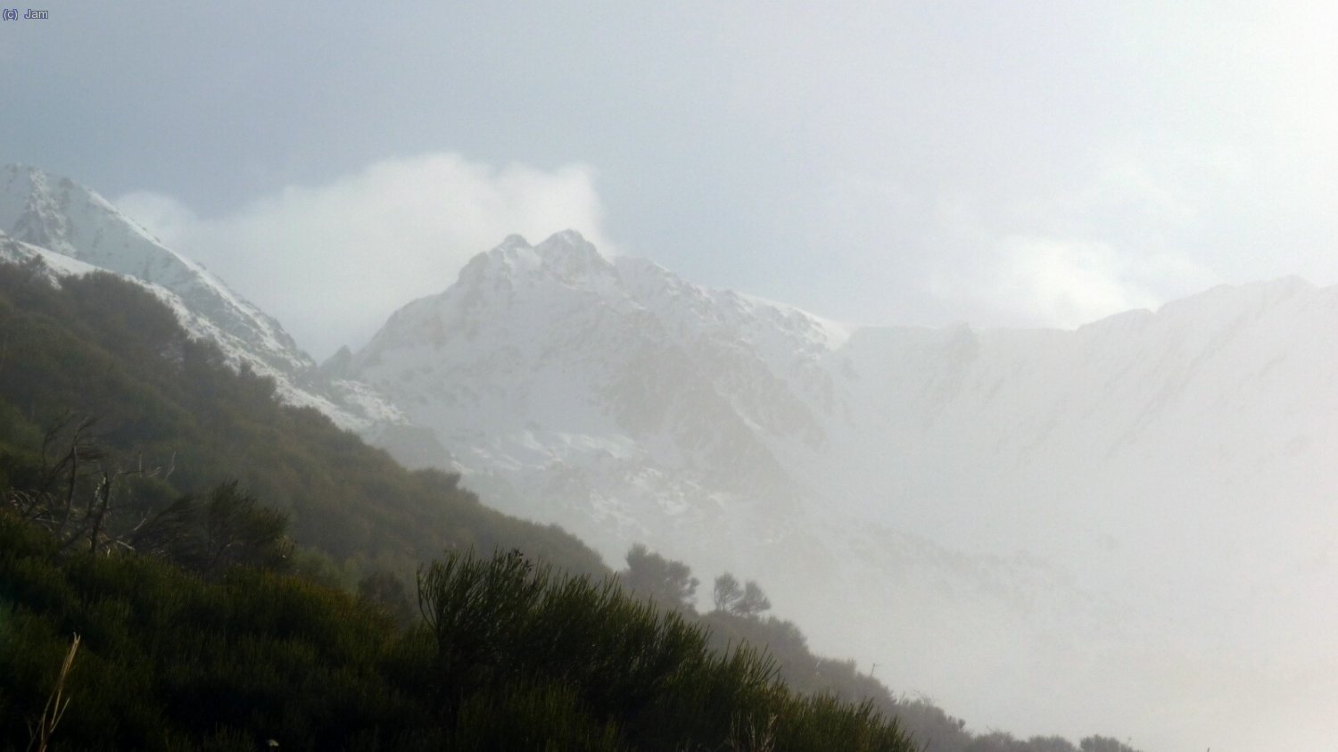 Al comen&ccedil;ar a caminar la boira era present.