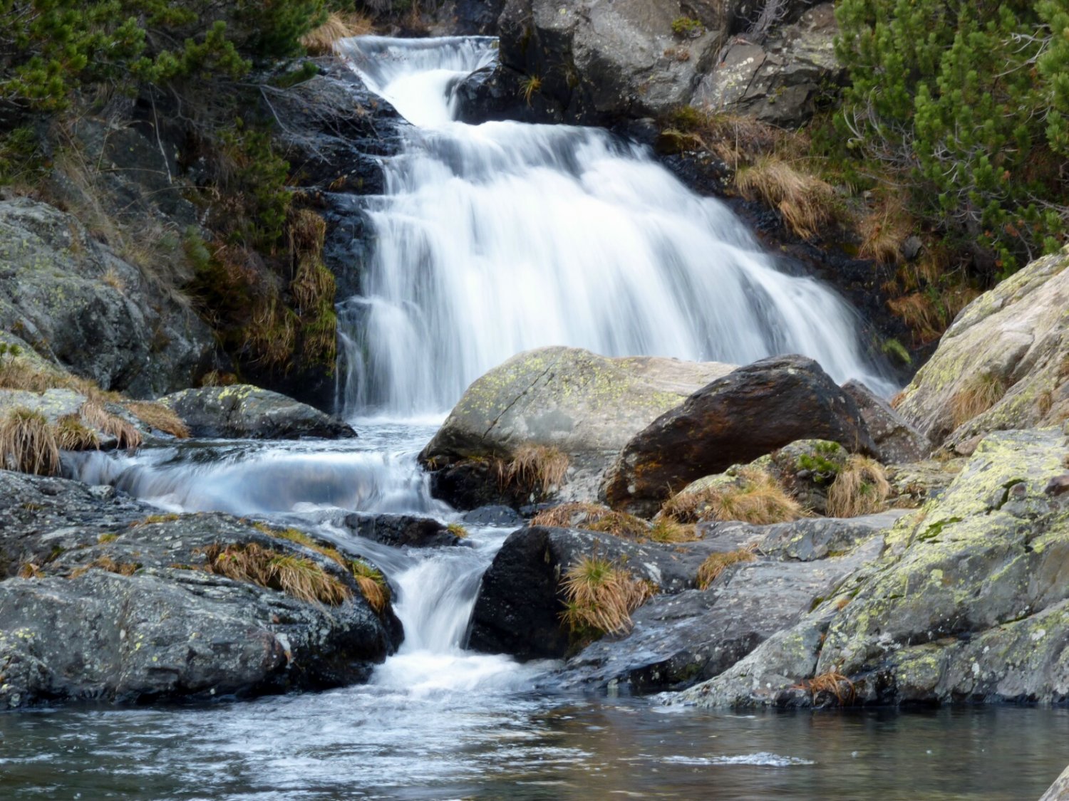 Les aig&uuml;es del Fontviva, for&ccedil;a abundant per les pluges recents.