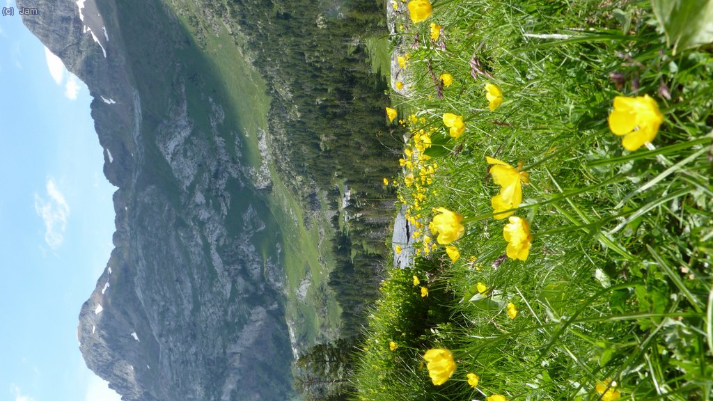 I ja som a baix, uns 17 km. i algo mes de 1500m de desnivell
