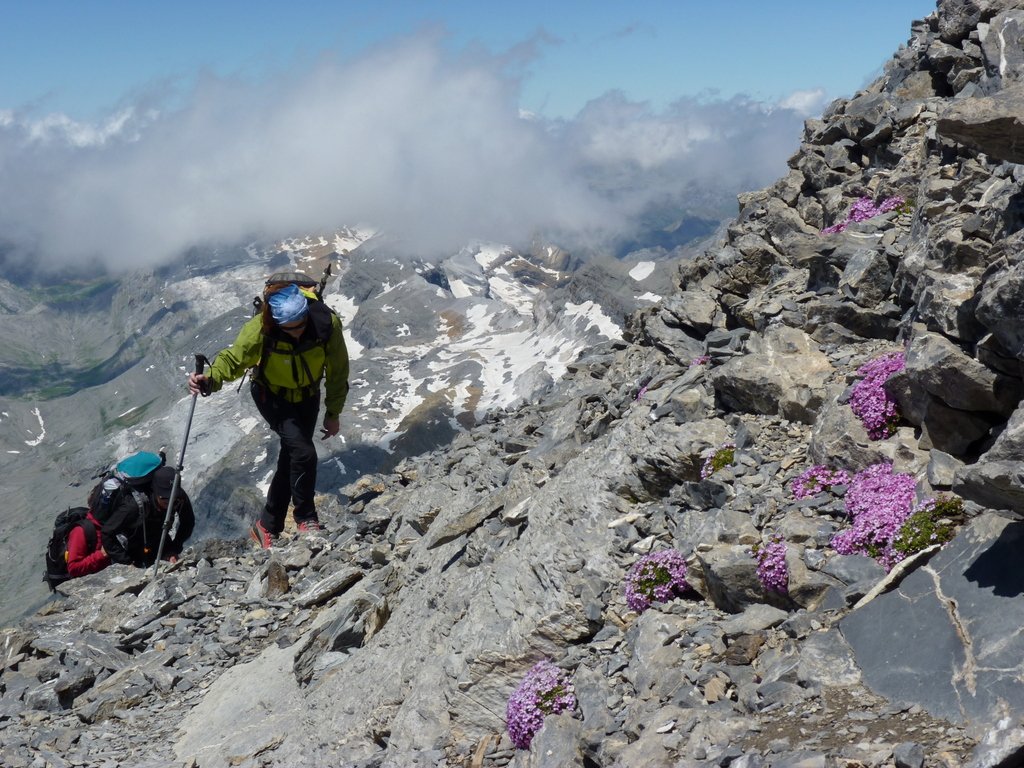 Ultims metres abans del Mont Perdut.