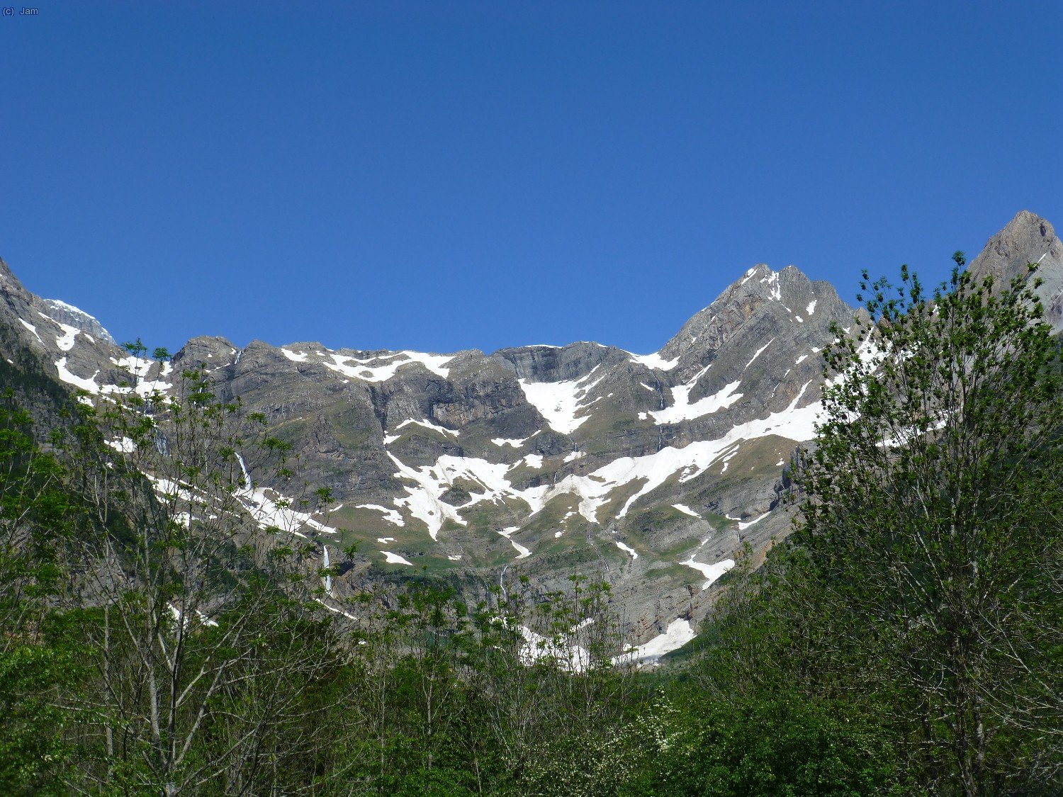 Una imatge de Pineta.