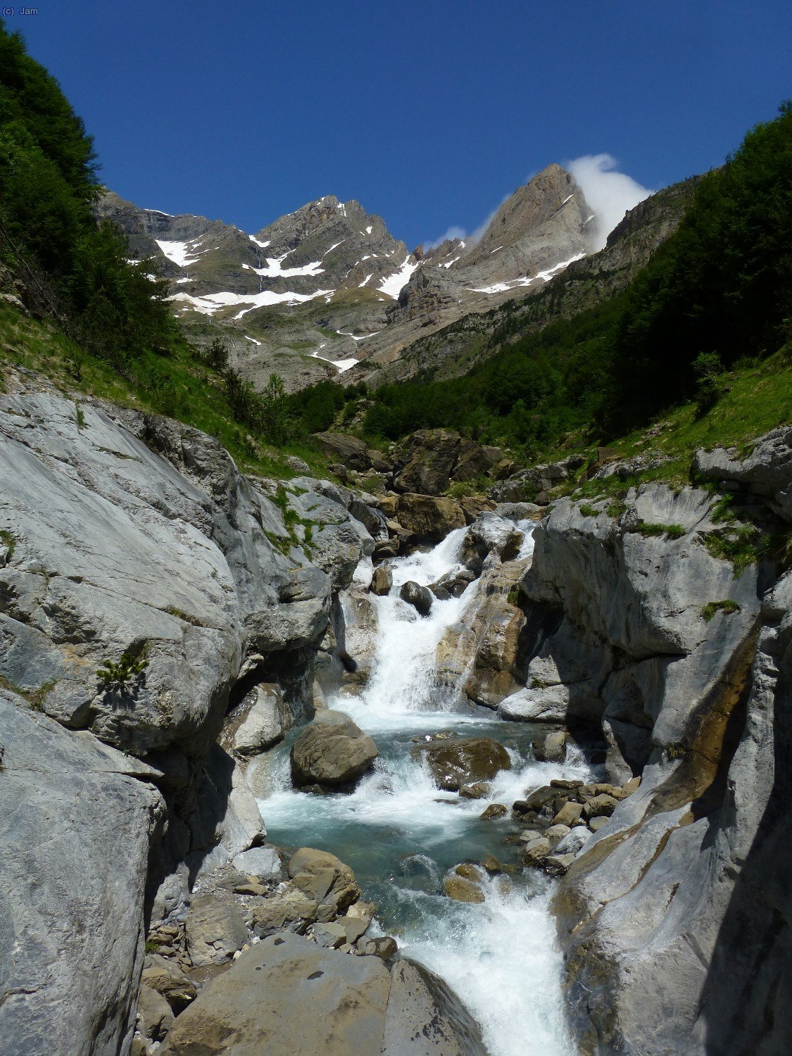 Aquest any hi ha aigua per tot arreu.