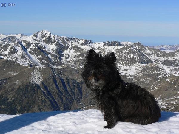 Brush posando con el Fontblanca
