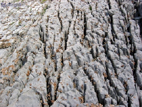 Lapiaz en llanura de Entrem&oacute;n