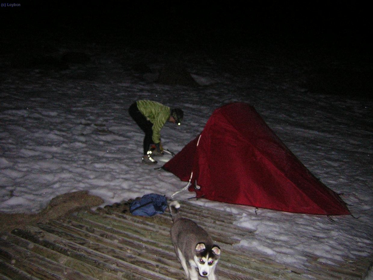 Dormimos al lado de las pistas de esqu&iacute; de Grau Roig y nos despert&oacute; este bebito tan tierno :O
