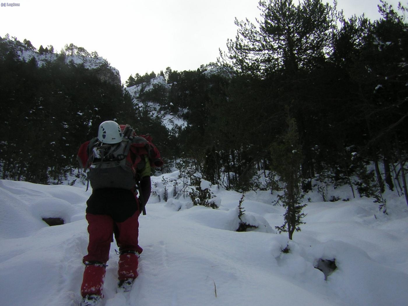 Remontando el Torrent del Palanc&oacute;