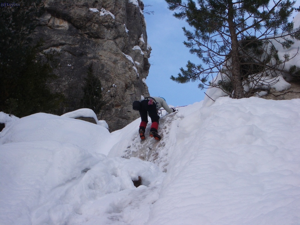 Ladytte en busca de emociones cristalinas