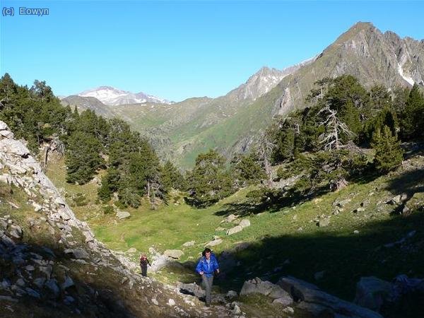 Aretha y Waldo con Posets al fondo