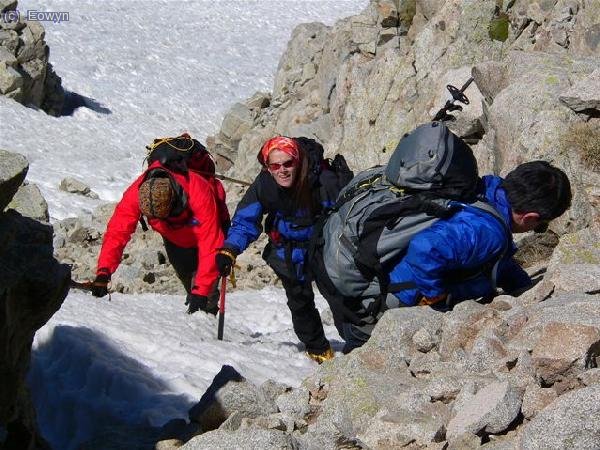 Pekas, Aretha y Waldo