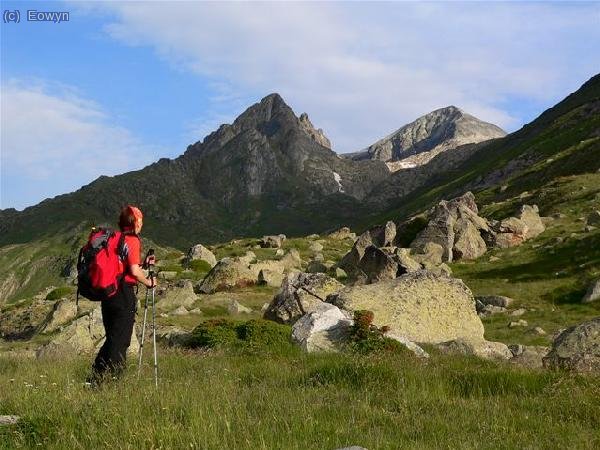 Aretha contemplando el Perdigueret y el Perdiguero