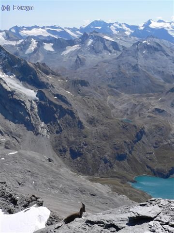 A éste seguro que le ha costado menos que a nosotros :P