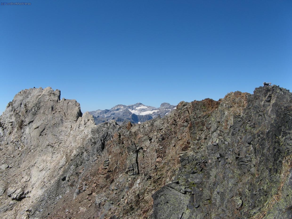 Arista hacia el Maou