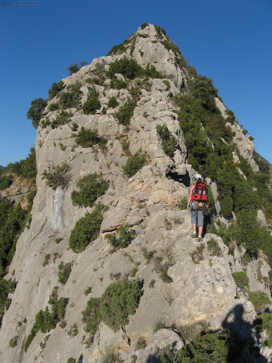 Progresando por la cresta