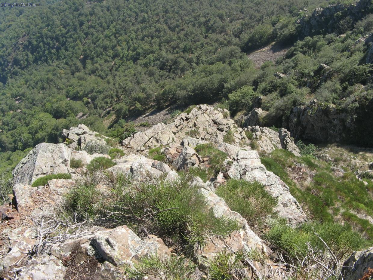 Vista de la via desde arriba