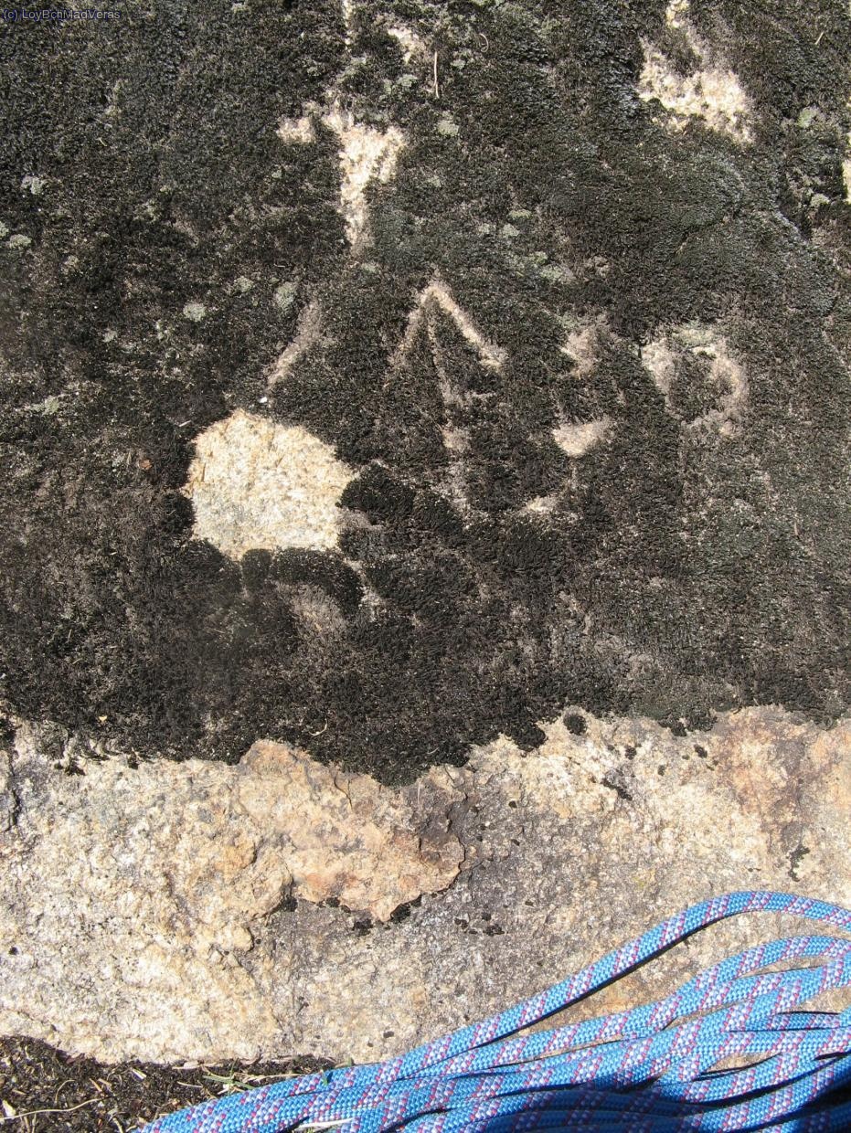 Inicio de la vía marcado entre el musgo y los liquenes