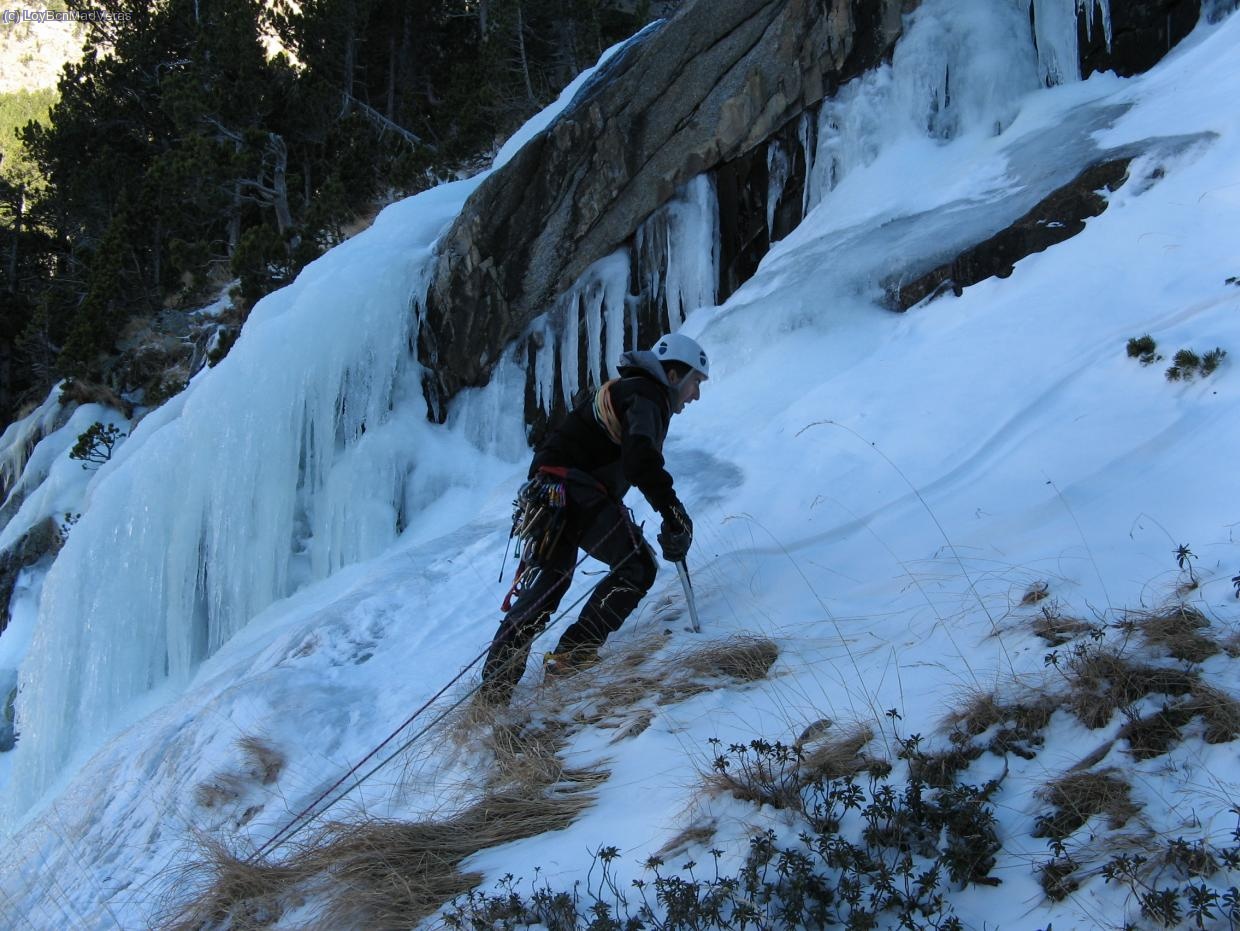 Salida hacia el arbol que nos sirvió de reunion.