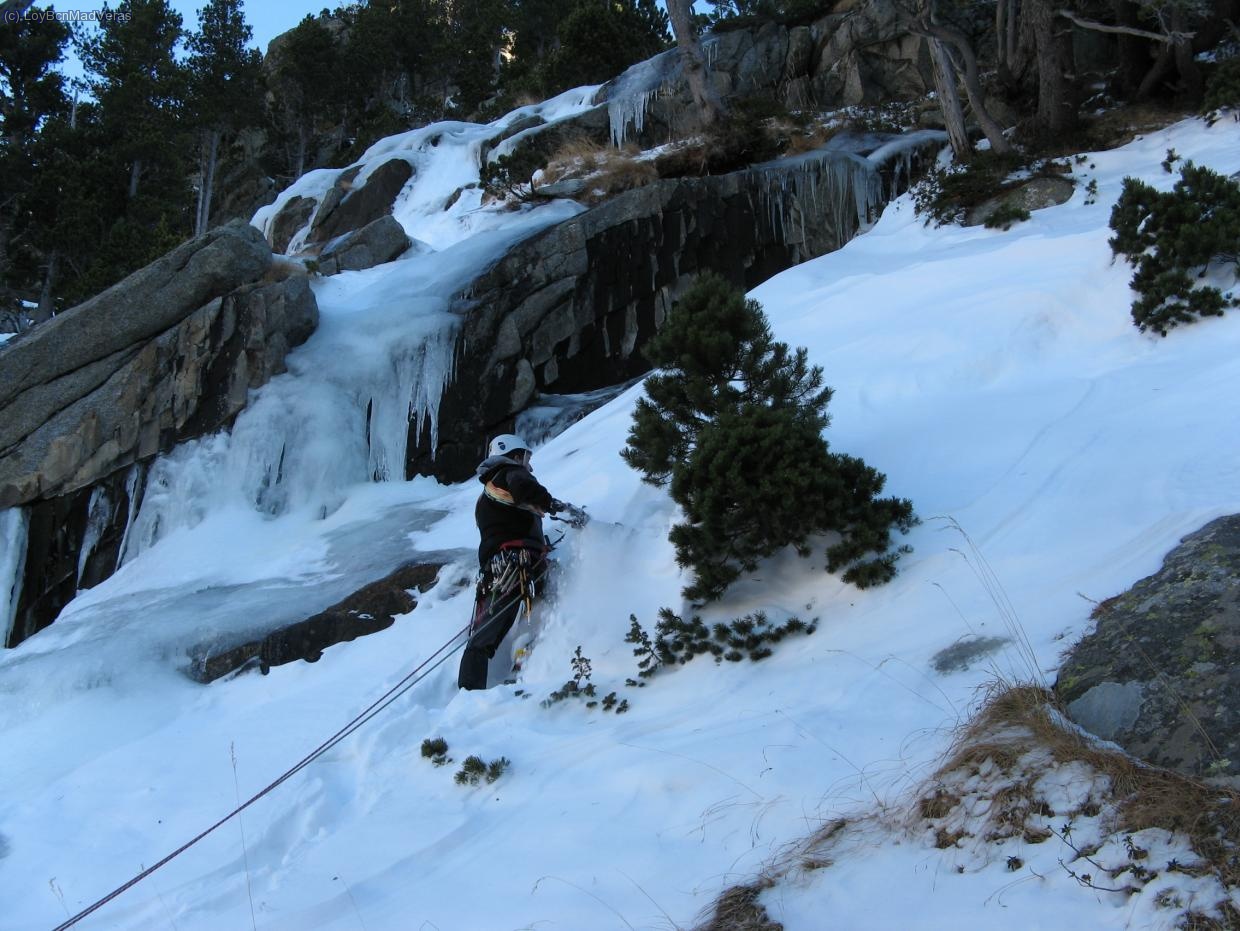 Arbol para el descuelgue