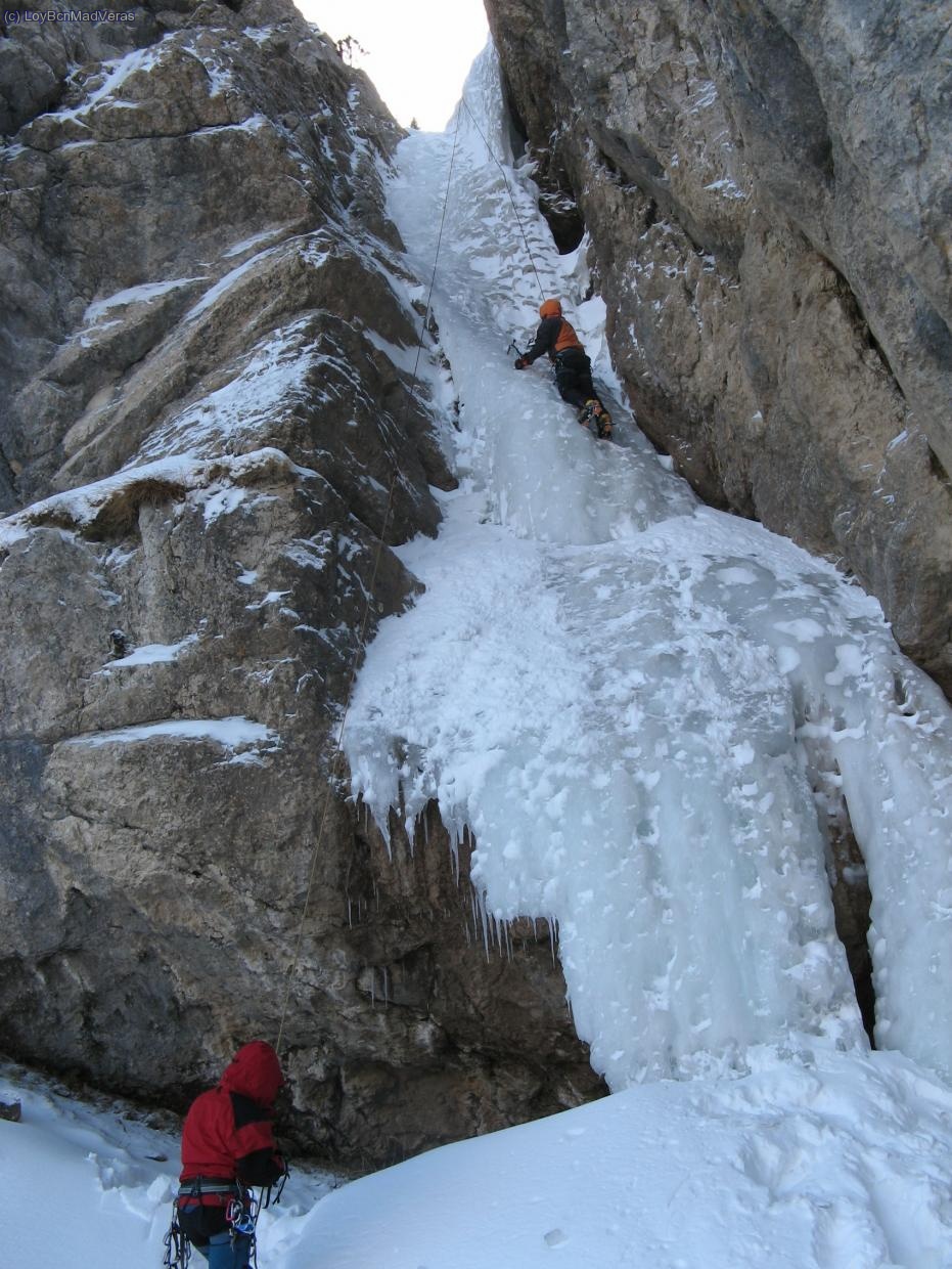 Madveras en la columna de Verdet