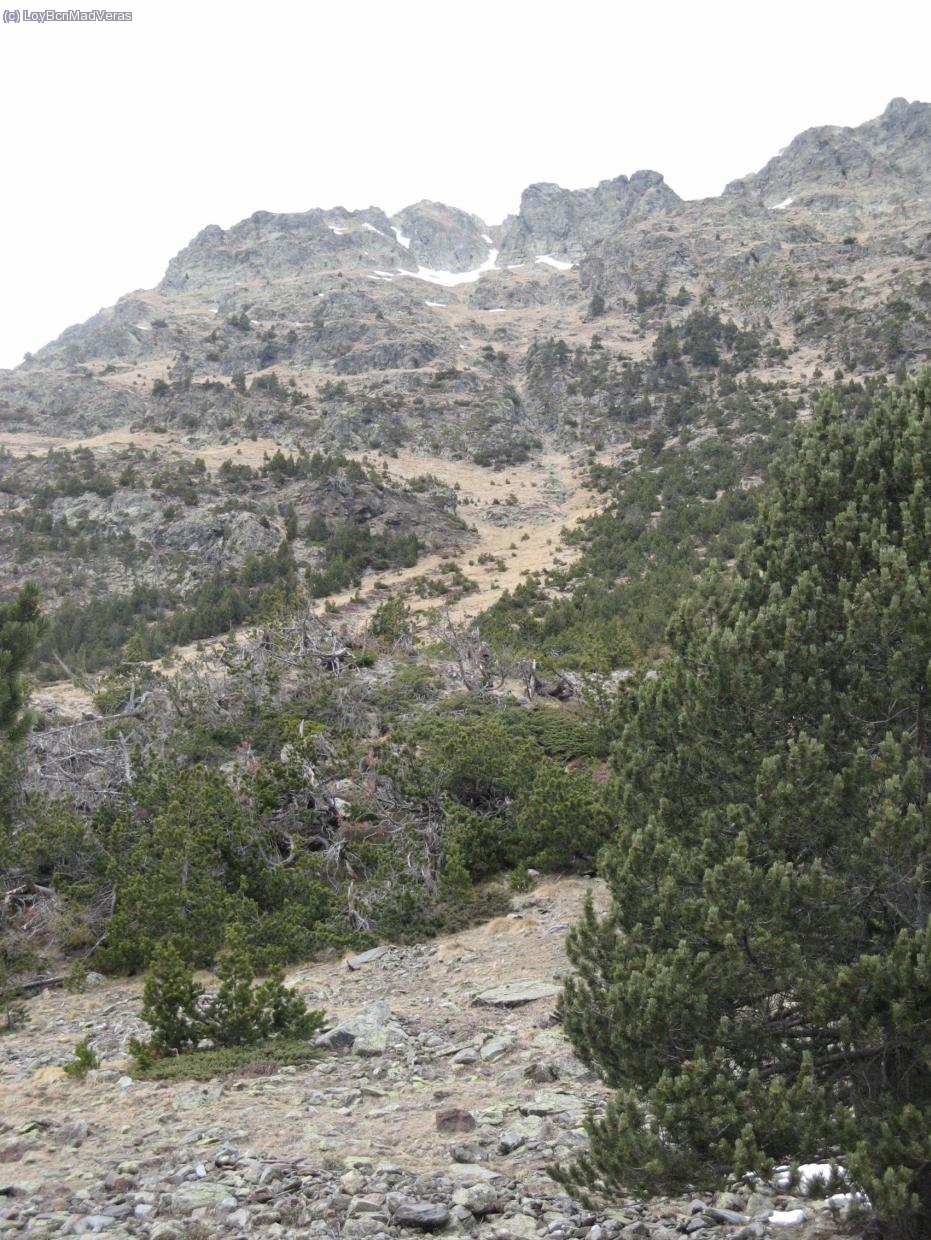 M&aacute;s o menos se intuye la bajada