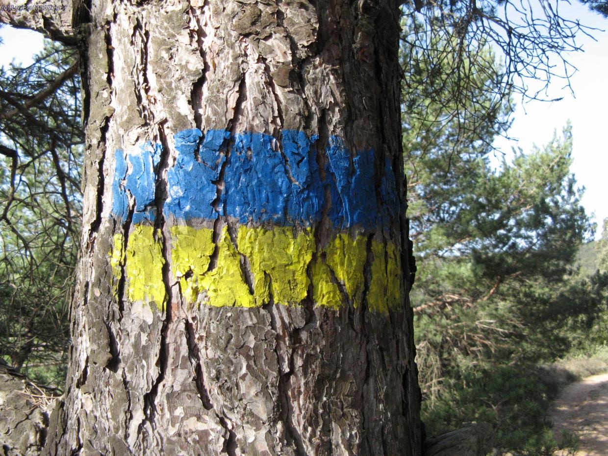 La marca que se&ntilde;ala el itinerario de la Ruta dels Refugis