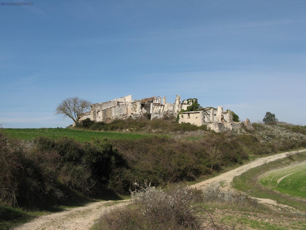 En els plans de Gallicant