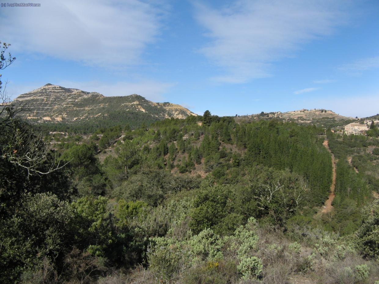 Vista del Montsant desde el bosc d