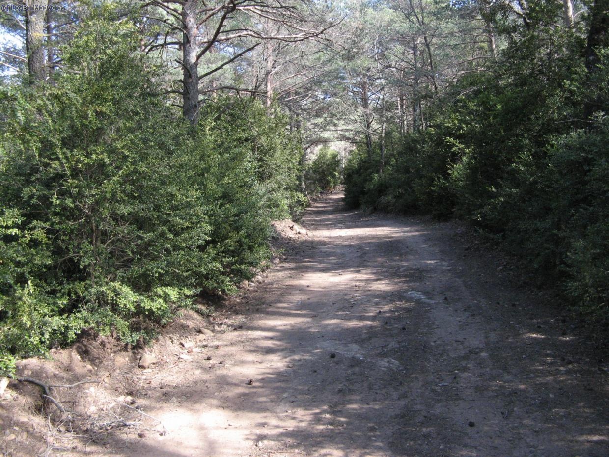 Pista inacabable y monotona camino de la Mussara