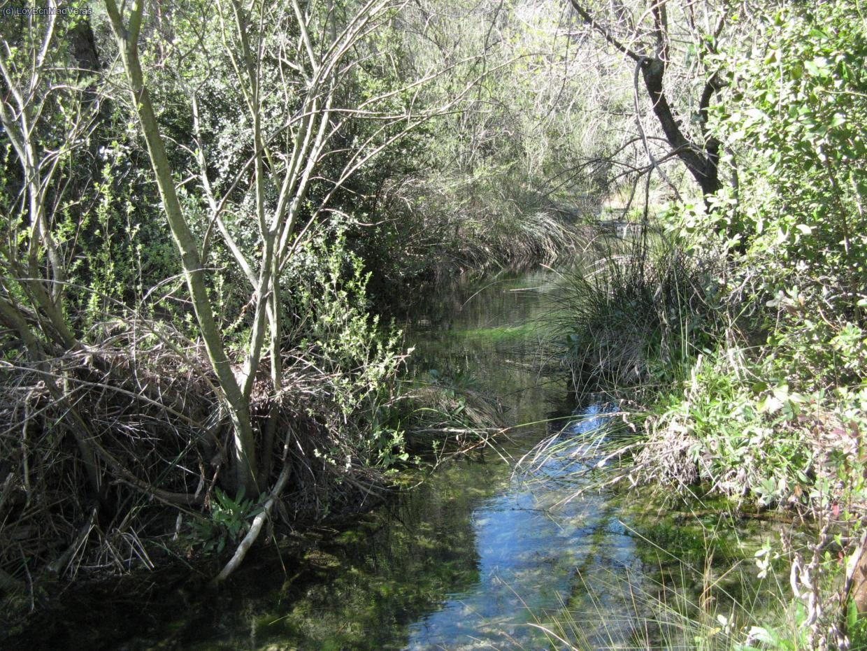 El Glorieta, pasado ya Mont-ral