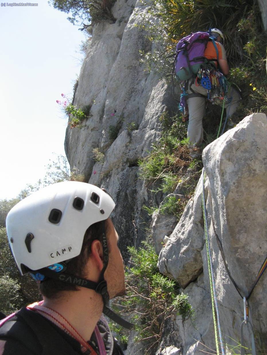 Frankie inicia el tercer largo