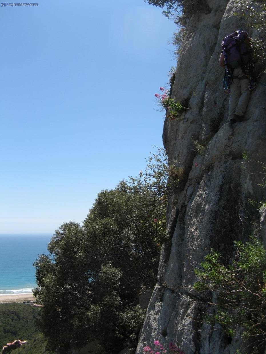Bonita placa para superar la palmerita que habia